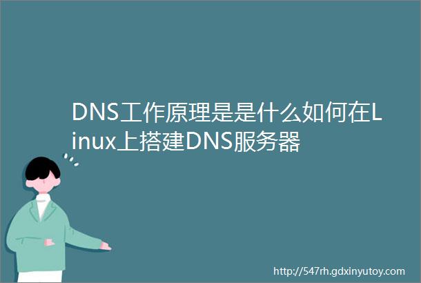 DNS工作原理是是什么如何在Linux上搭建DNS服务器